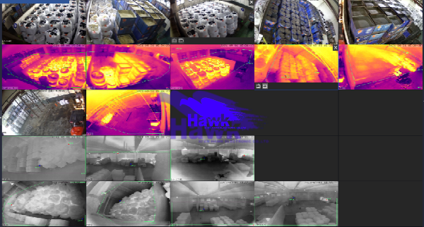 防患于未“燃”：红外热成像技术在危化品仓储安全监测中的应用